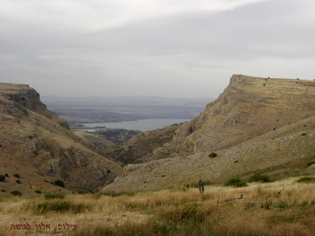 Arbel Guest House Shavit Family Екстериор снимка