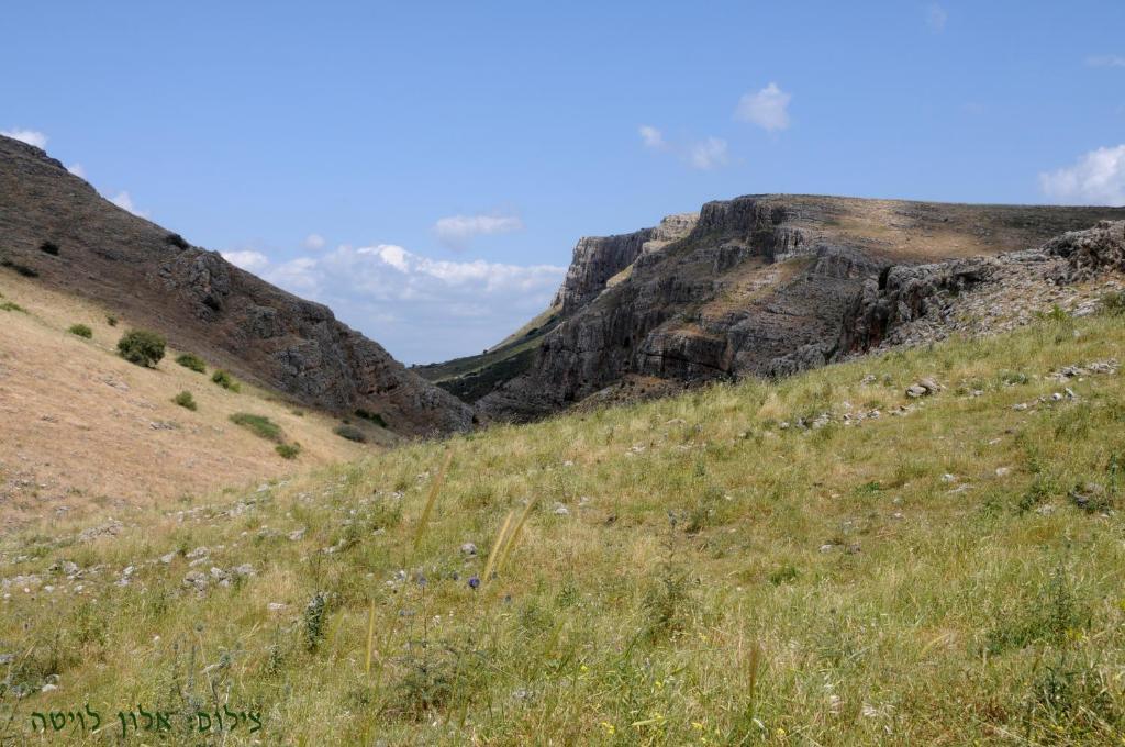 Arbel Guest House Shavit Family Екстериор снимка