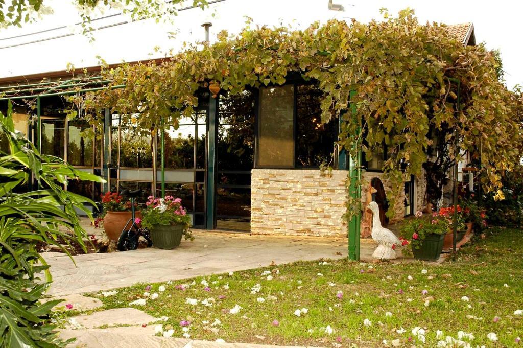 Arbel Guest House Shavit Family Екстериор снимка