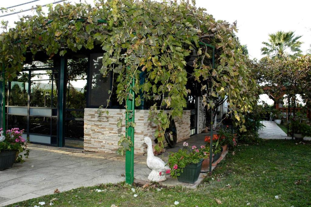 Arbel Guest House Shavit Family Екстериор снимка